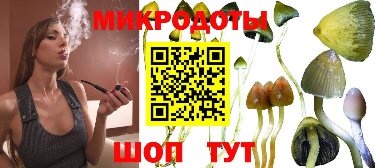 Галлюциногенные грибы мухоморы Алатырь